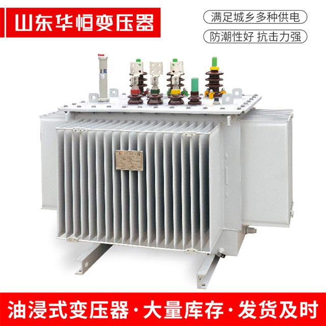 S13-10000/35永济永济永济电力变压器